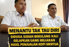 Diduga Lebih dari 9 Kali Transaksi Kopi 'Menantu Tak Tau Diri' Tilep Uang Mertua