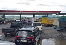 Kenaikan Dexlite dan Pertamina Dex Hantam Kendaraan Diesel, Biaya Operasional Melonjak