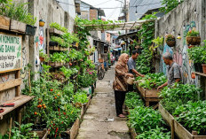 Ubah Lorong Beton Jadi Asri, Cara Bikin Community Garden di Gang Sempit
