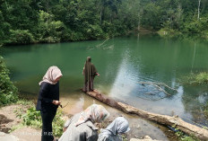 Fomo Dengan Destinasi Danau Viral di Kepahiang, Pengunjung Ini Rela Datang Dari Jauh