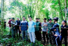 Lewat Urban MTB 2026, Pemkab Rejang Lebong Promosikan Pesona Hutan Kota Imbo Rajo