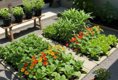 5 Ide Edible Garden Menyatu dengan Taman Bunga Biar Cantik dan Bisa Dimakan