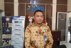 Serap 1.187 Ton Setara Beras, Gudang Bulog Rejang Lebong Penuh Hasil Panen Petani