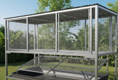 Kokoh dan Awet, 5 Jenis Rangka Kandang Ayam Tahan Panas