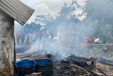 Pemadaman Terkendala Jarak, Rumah Warga Trans Pagar Agung Kepahiang Ludes, Kerugian Ditaksir Rp120 Juta!
