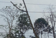 Ternyata Ini Penyebab 24 Jam Lampu Mati di Kecamatan Tebat Karai!
