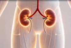 Kenali Gejala Gagal Ginjal, Cegah Komplikasinya