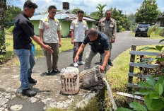 Meresahkan Masyarakat, Bulan Puasa Satpol PP Sita Puluhan Liter Tuak dari Pedagang!