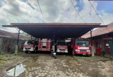 Kasus Kebakaran di Kepahiang Triwulan I: Kerugian Tembus Rp1,1 Miliar, Insiden Daspetah Paling Menonjol