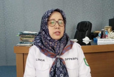 Fantastis! DAK Non Fisik DPPKBP3A Rp1,3 Miliar, Ini Peruntukannya