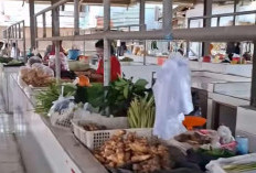 Harga Melonjak Tinggi,  Muncul Fenomena Pedagang Pelit Kasih Plastik!