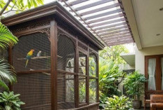Perpaduan Gaya Modern dan Natural, 5 Model Teras dengan Kandang Burung