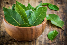 5 Khasiat Ramuan Daun Salam Campur Kayu Manis