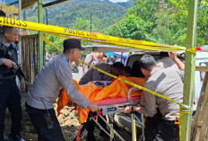 3 Bulan Menikah dan Hamil, IRT Muda di Lebong Ditemukan Meninggal Dunia dengan Luka Gorok di Leher
