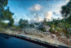 Dijamin Ampuh! Tips Mudah Menyingkirkan Jamur Kaca Mobil 