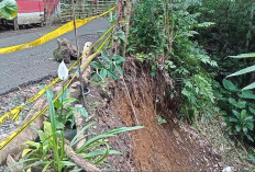 Longsor Lagi di Kepahiang, Jalan di Pasar Sejantung Terancam Putus