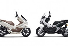 Cek Keunggulan & Perbedaan Motor ADV 160 atau PCX 160