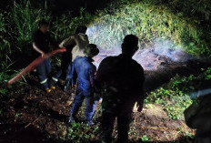 Kebakaran Pabrik Kayu di Bermani Ilir Kepahiang, Nihil Korban Jiwa