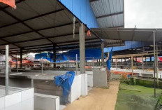 Pasar Los Kepahiang Terindikasi Beralih Tanpa Izin, Disdagkop UKM Masih Lakukan Validasi!