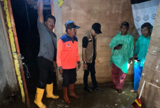 11 Rumah Warga Desa Air Pesi Terdampak Banjir, Termasuk Lahan Sawah dan Kebun Cabai