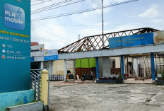 Masih Banyak Kabel Listrik Tak Punya Tiang, Begini Kata PLN PLN ULP Kepahiang