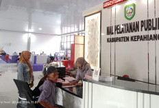 Wajib NIB, DPMPTSP Kepahiang Fasilitasi THL Urus Legalitas Demi Rekrutmen Baru