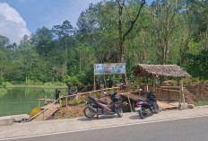 Pesona Telaga Hijau Karang Anyar Kepahiang: Dulu Viral Kini Sepi, Pengelola Berharap Bantuan Fasilitas