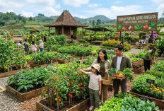 Jadi Daya Tarik Wisatawan, 3 Ide Kebun Sayur untuk Ibu-ibu di Wisata