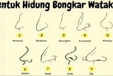 7 Metode Menganalisis Karakter Seseorang Melalui Bentuk Hidung