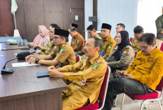 WFH di Kepahiang Berlaku Mulai Besok, Kecuali 12 Sektor Ini!