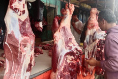 Harga Daging Sapi Segar Stabil Jelang H-1 Ramadhan 1447 H