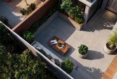 Intip 5 Desain Teras Minimalis di Lahan Sempit, Tapi Dikelilingi Pohon dalam Pot Besar