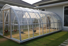 Cuan Dari Lahan Sempit, 5 Model Kandang Ayam Close Mini untuk Ternak Skala Rumahan