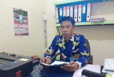 Banding Vita Melia, Pemkab Kepahiang Dimintai Klarifikasi oleh BKN