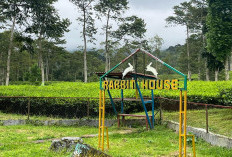 Ini Penampakan 'Rumah Kelinci', Salah Satu Proyek Disparpora TA 2023 yang Dilidik Subdit Tipidkor Polda!