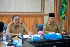 Soliditas OPD Jadi Kunci, Wagub Mian Targetkan PAD Bengkulu Melejit