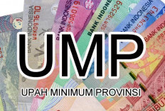 Mulai Januari 2026 UMP Naik, Berikut Ini Daftar Lengkap Masing-Masing Provinsi!