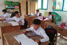 Miris, Begini Dilemanya Sekolah Pelosok di Kepahiang