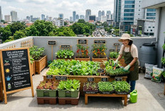 Ini Tips Menanam Sayuran Mini di Rooftop, Agar Tidak Cepat Kering dan Tetap Subur