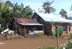 Belasan Desa di Kepahiang Masih Kesulitan Jaringan Internet