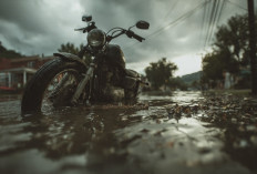 5 Tips Mengatasi Motor Terendam Banjir Tanpa Perlu ke Bengkel