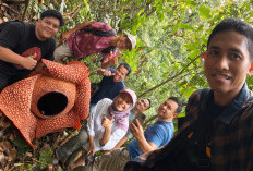 Kembangkan Rafflesia di Lahan Swadaya, LP2L2 Kepahiang Jaga Kelestarian Ikon Bengkulu