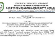 Disinyalir Ada Perbedaan, Ini Kata BKDPSDM Kepahiang Terkait SK PPPK Paruh Waktu yang Tak Cantumkan Besaran Ga