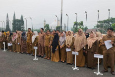 Rela Jadi TKW Hingga Terjerat Korupsi, 9 ASN di Kepahiang Resmi Dipecat!