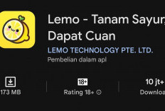 Gunakan Aplikasi Lemo Aplikasi Penghasil Uang Tanpa Modal, Klaim Saldo DANA Gratis Rp200.000