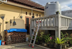 Terjaga Kebersihannya, Ini Cara Agar Tandon Air Tidak Berlumut