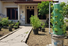 Mudah Dibuat dan Rendah Biaya, 5 Desain Tower Garden Kreatif dari Pipa PVC untuk Lahan Kecil