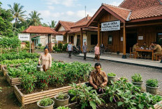 Tidak Menganggu Kegiatan, Begini Cara Membuat Kebun Buah di Balai Desa