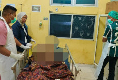 Pesta Malam Memanas, Pemuda di Kepahiang Berakhir Meninggal Dunia!