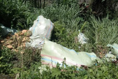 Warga Dusun Kepahiang Geram Belakang Rumahnya Jadi Pembuangan Sampah Kulit Kelapa